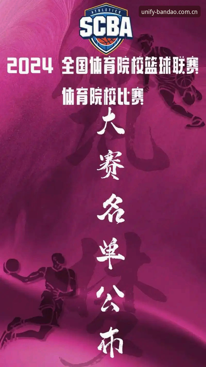 半岛体育综合最新动态：2024版升级体验全面解析，老用户分享实用指南
